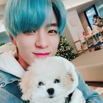 [NCT드림] <b>강쥐</b>안고있는 <b>강쥐</b>나 보고가셍용