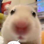 ㅅㅂ 나 눈썹문신 망한거냐 ㅈ됨