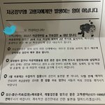 2002년생 여돌들한테 올해 이거 옴