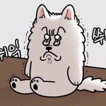 [꼭조언부탁] 하고픈 걸 해야할까 잘하는 걸…