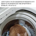 [댓글부탁해] 영어 천재들 컴온