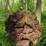 <b>헛것</b>이 보인다고 착각할 만한 순간들