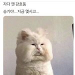 [19] 슴가5cm줄어들기vs슴가 <b>한쪽</b> 없어지기