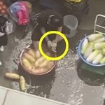 무 수세미로 발 '벅벅'…그 족발집 사장도 식품위생 딱 걸렸다