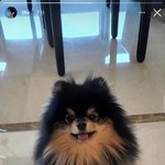 [방탄소년단] 타니 바미 홀리 모니 <b>미키</b>는