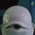 내친구 장원영 딸기 손<b>민수</b>함;;