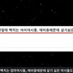 [이것좀봐줘] 4월19<b>일자</b> 여성시대 살인 계획 세우는중ㄷㄷ