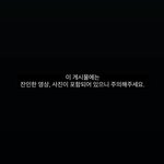 불에 고양이를 태운 학대범(<b>청원</b>링크)