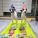 [군대] 송<b>팽이</b> 생파