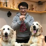 해외 <b>셀럽</b>들의 지극한 댕댕이 사랑