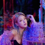 올 해 확정된 연애 예능 라인업