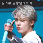 <b>특이</b>한 알레르기를 지닌 아이돌