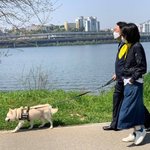 김건희, 집 앞 경찰견 만진 뒤 샀나… 토리 어깨에 ‘경찰특공대’