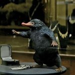 신<b>동사</b> 왜 망했다 생각함?