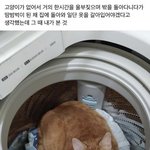 [댓글부탁해] 아 고3 ㅈ됐다 나 어캄