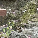 [더보이즈] 오늘 <b>등산</b> 갔다가 창미니 봤다