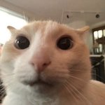 [댓글부탁해] 영어 잘하는 애들아 ㅠㅠㅠㅠ