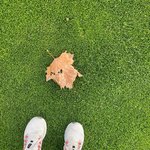 새벽 <b>조깅</b>