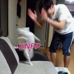 [드루와] <b>ENFP</b> 짤 모음집