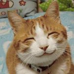 [19] 더러운가 좋아하는사람 들어와봐