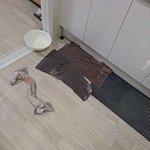 [꼭조언부탁] 새벽2시 <b>누수</b>발생!! 누가잘못인지좀 알려주세요!!...