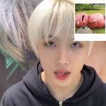 [NCT드림] 아기공룡이가.....