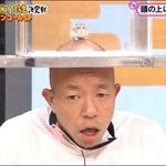 난 당일 벼락치기로 내신 3점<b>대임</b>