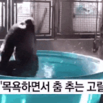 씻고->밥먹는애들 들어와봐질문좀할게