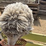 [19] 애인이 <b>마조</b> vs 사디스트