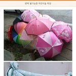 [<b>유머픽</b>] 고양이와 어린이의 공통점