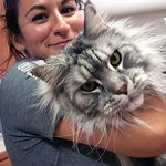 덩치 큰 <b>순둥이</b>라는 메인쿤 냥이