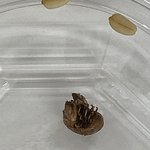 보이시나요? 연락한통없는 <b>배민</b> 맨@맨@샐러드 업주. (사진첨부/벌레주의)