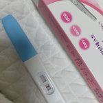 테스트기좀봐주세요