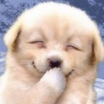 <b>짝남</b>이 나 좋아하는 거 같음