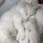 시험기간 <b>유일</b>한 낙