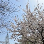 [댓글부탁해] 남동생과 <b>미묘</b>하게 차별하는 엄마