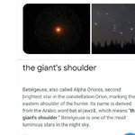 [트레저] <b>베텔</b>기우스 = 거인 어깨 뜻 대박