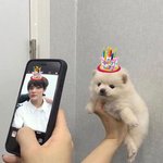 [NCT드림] 일어나자마자 강쥐 생일축하하기