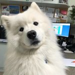 [댓글부탁해] 옾챗 보낸<b>사람</b> <b>알</b>수있는방법
