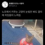 [댓글부탁해] <b>인스타</b> <b>친구</b> 40명이면