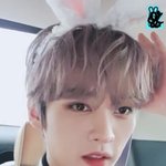 [스키즈] 리빗이 브이앱한다