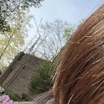 [ㅈㄱㄴ] 내 머리색 ㅈㄴ<b>갈색</b>임