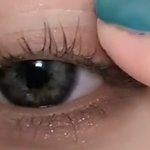 제발 비슷한 섀도우 좀 찾아줭ㅠㅠ