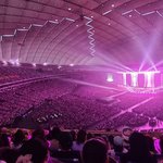 [댓글부탁해] 야 트와 <b>한물</b> 간거 맞음?