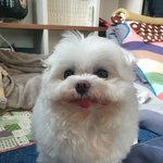 [드루와] 혹시 알바잘알 있음?제발