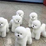 우울한거 싹 날라감
