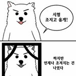 우리 학교 ㅈㄴ 갓반고임