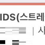 [스키즈] 아니 뭐 샀었지