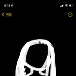 이 <b>머리길이</b>는