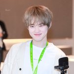 [NCT드림] 밑에 러둥이 사진 보고 발견한건데
